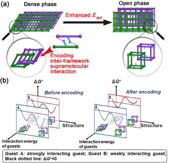 同济大学 同济大学