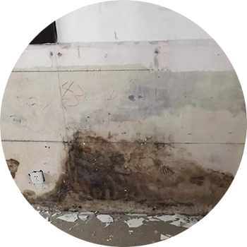 查找原因 查找原因