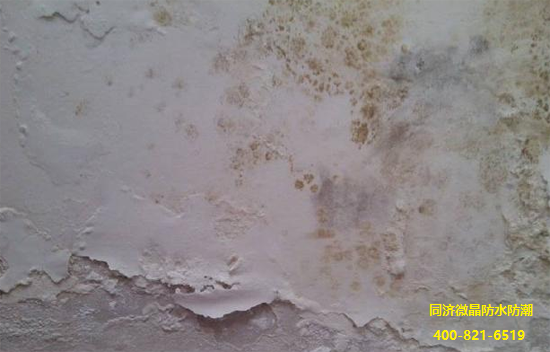 地下室潮湿发霉病症 地下室潮湿发霉病症
