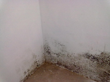 2018-3-26-1 2018-3-26-1