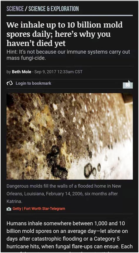 别墅地下室发霉 别墅地下室发霉