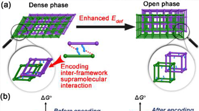 同济大学李风亭教授团队在柔性多孔材料分子识别和催化方面的研究取得进展 同济大学李风亭教授团队在柔性多孔材料分子识别和催化方面的研究取得进展