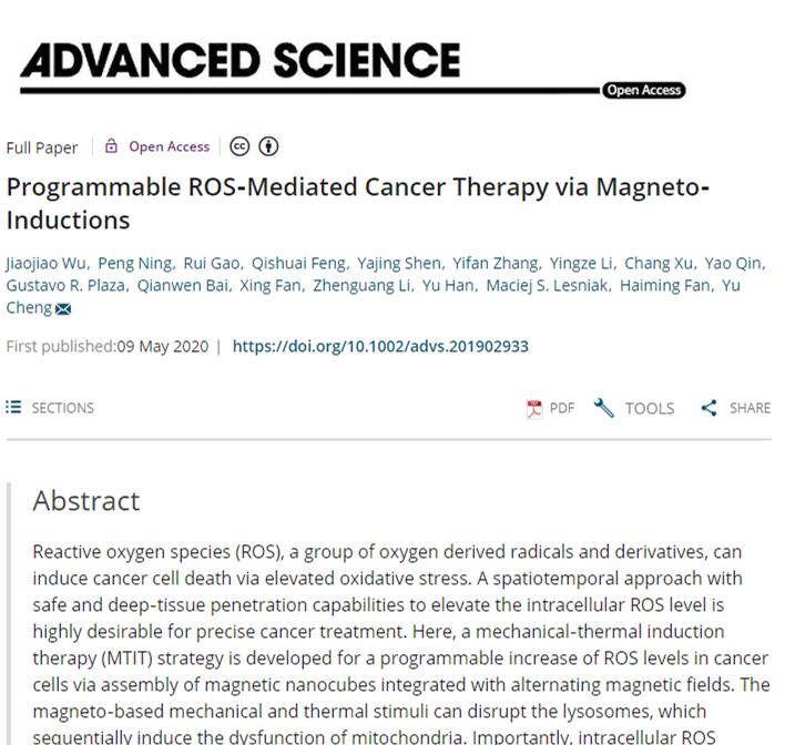 同济大学 同济大学