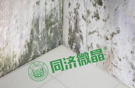 同济微晶|别墅地下室防水防潮防霉 同济微晶|别墅地下室防水防潮防霉