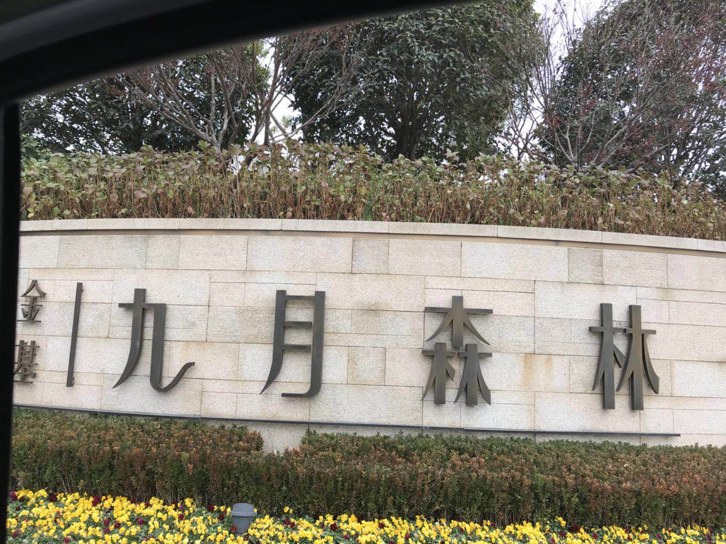 南京九月森林