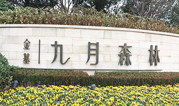 南京浦口区江浦街道-南京九月森林C2-63