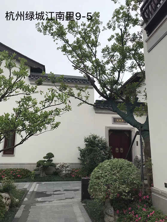 同济微晶别墅案例 同济微晶别墅案例