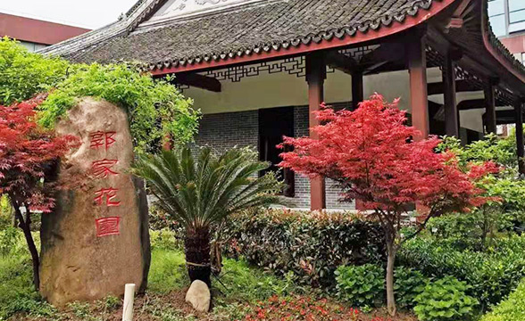 同济微晶 同济微晶