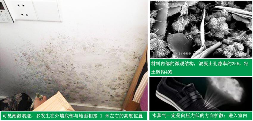 别墅地下室发霉 别墅地下室发霉