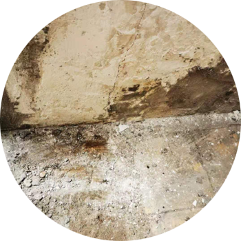 同济微晶 同济微晶