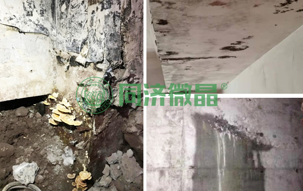 别墅地下室防潮施工 别墅地下室防潮施工